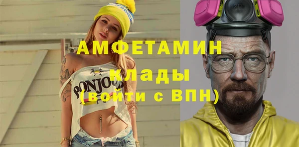 хмурый Аркадак