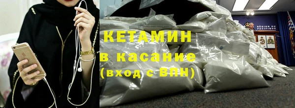 хмурый Аркадак