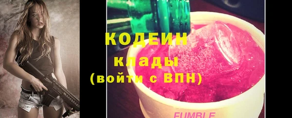 хмурый Аркадак