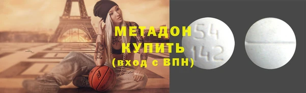 хмурый Аркадак