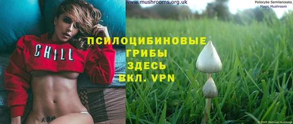 винт Кукмор