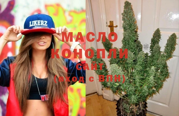 гидра Кулебаки