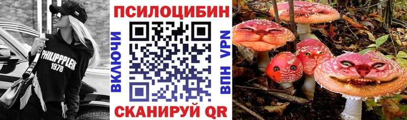 Псилоцибиновые грибы GOLDEN TEACHER  Сертолово 
